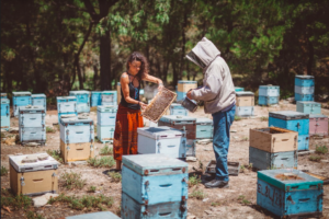 Female Entrepreneurs Growing a Cannabis Business - CBD - Maryam Henein, HoneyColony & Simply Transformative