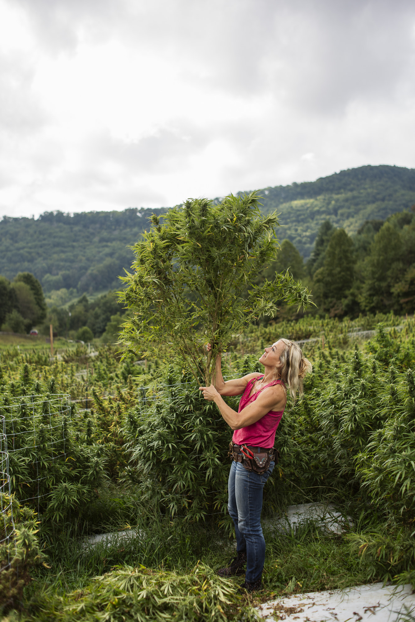 Female Entrepreneurs Creating a Cannabis Business - Hemp - Franny Tacy, Franny's Farmacy