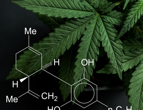 Cannabis Oversight and the FDA