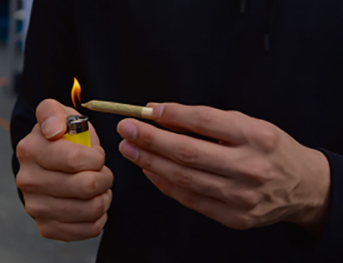 How to Smoke a Joint