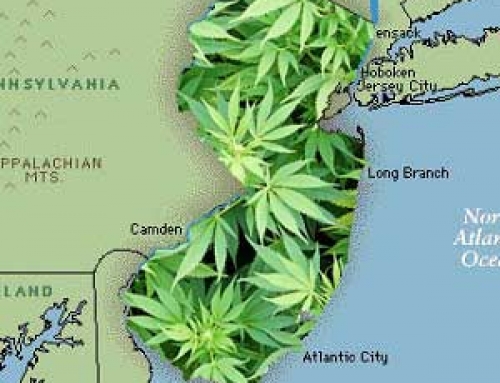 Recreational Marijuana Legalized by New Jersey Voters